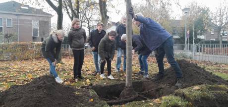 Zoete sterappel met nestkastjes voor De Windhoek in Almelo