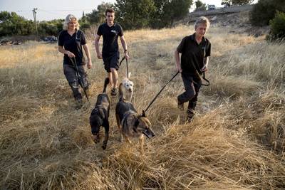 Speurhonden moeten wachten 
op Turkse politie in zaak Joey