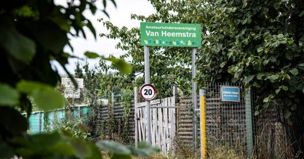 Recherche hoopt moordonderzoek nieuw leven in te blazen in Weurtse moestuin van klusjesman Mehmet .