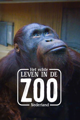 Het Echte Leven in de ZOO NL