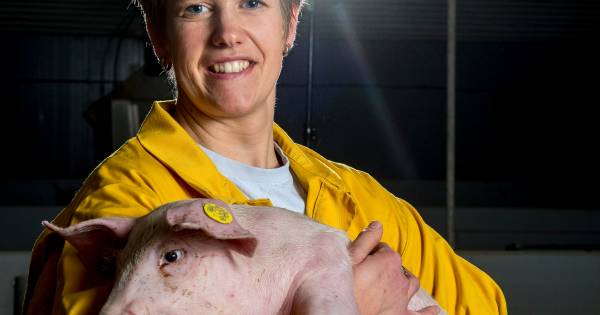 Erlecomse Linda Janssen wil opkomen voor haar varkenshouders