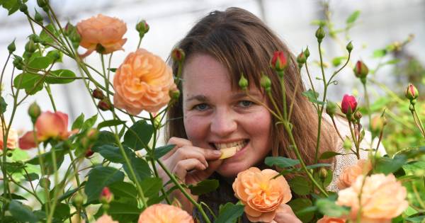 Gezond eten? Proef eens een roos van Willianne uit Opheusden