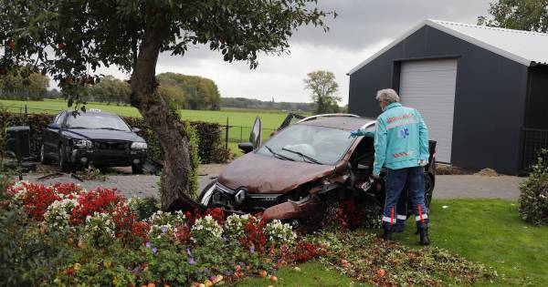 Twee auto’s belanden bij ongeluk in voortuin; appelboom verliest fruit.