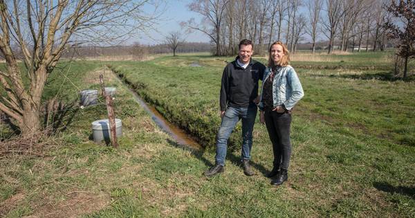 Beregeningsverbod of niet? Boeren in de regio hebben winter lang water vastgehouden