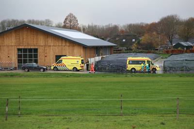 Twee kinderen gewond geraakt bij val van grote hoogte in Brummen