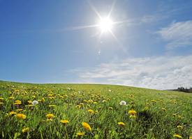 Blijft de zon schijnen dit Pinksterweekend?
