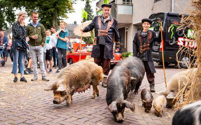 ‘Bert’s Animal Verhuur in Appeltern negeert bevel van rechter en blijft dieren verhuren’