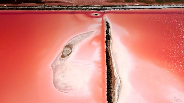 Camargue, wild paradise