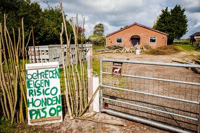 Verboden motorclub met leden uit Ede en Wageningen gedroeg zich keurig: 'Ze hadden niet eens motoren'