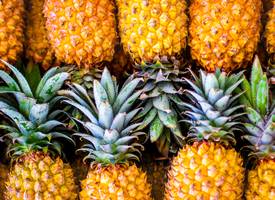 Je immuunsysteem versterken? Ananas helpt je erbij