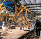 Het Museum voor Natuurwetenschappen en vier andere tips voor een geslaagde tv-avond