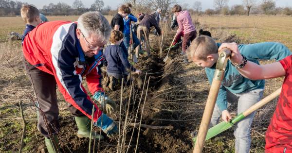 Vierlingsbeek wint NK Maasheggenvlechten | Boxmeer - gelderlander.nl