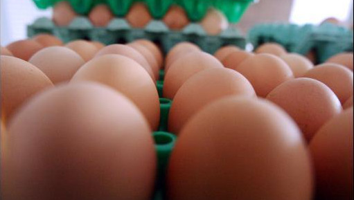 Un Poulailler De 85000 Poules à Braine Le Château Belgique