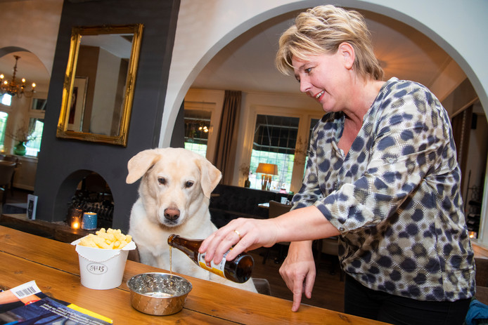 ?appId=21791a8992982cd8da851550a453bd7f&quality=0.9