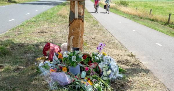 "Bloemen, brieven en gedichten op plaats van fataal ongeval in Overloon". #maasland #