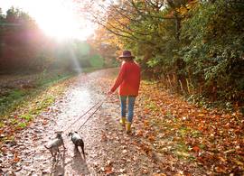 1, 21 of 23 september: wanneer begint de herfst nou écht?