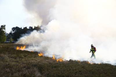 Politie pakt mogelijke brandstichter heidebrand Veluwe op na achtervolging