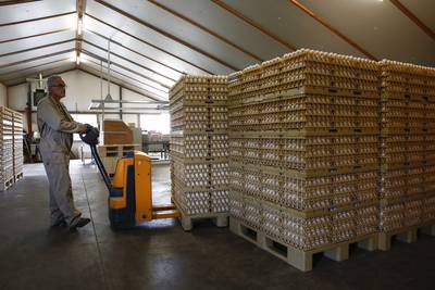 NVWA waarschuwt voor consumptie eieren: acuut gevaar