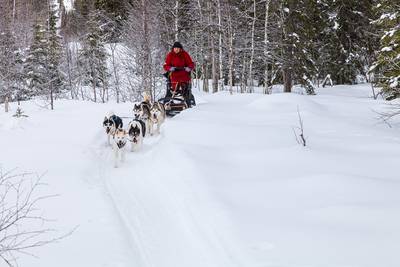 Dit Nederlandse echtpaar is al twee maanden ingesneeuwd in Zweden