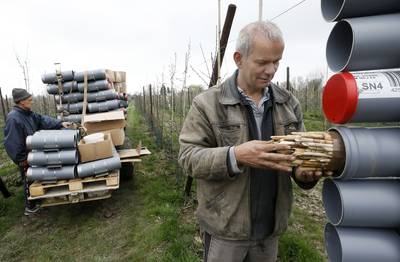 Nieuw thuis voor metselbijen in Valburgse bongerd