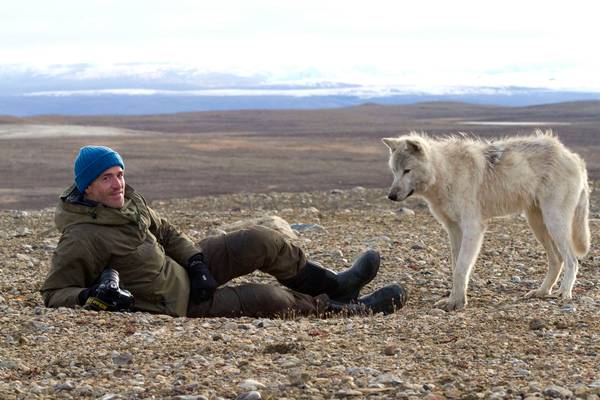 Snow Wolf Family and Me