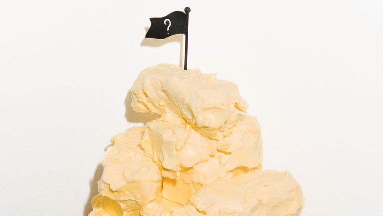 Vet Is Helemaal Niet Slecht De Volkskrant