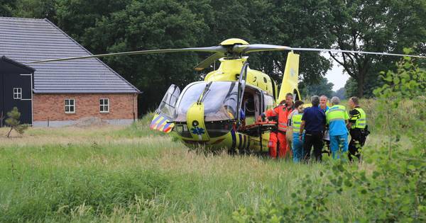 Overleden man in zwembad van boerderij in Milheeze is 29-jarige man uit ...