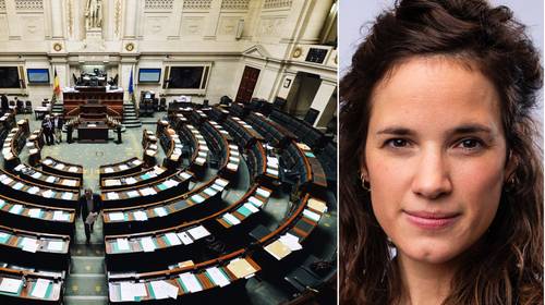 Onze opinie. Het parlement vliegt al een tijdje met geknipte vleugels. Daar ligt het pijnpunt vandaag 
