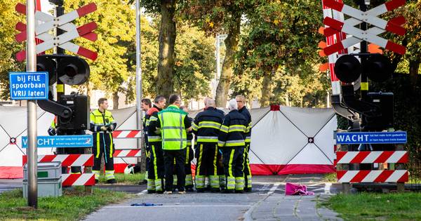 Kijk hier de persconferentie over het bakfietsdrama in Oss terug - De Stentor