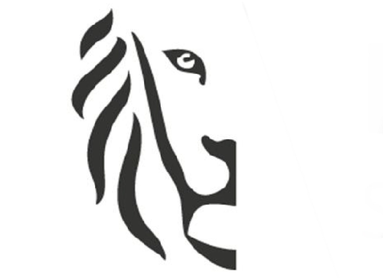 N Va Wil Vlaamse Leeuw In Nieuw Logo Vrt Verwerken Foto Hln Be