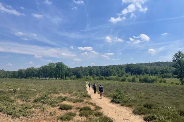 Dwars door de Lage Landen