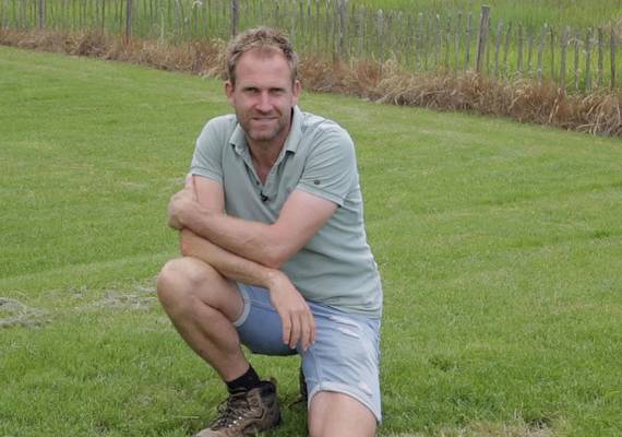 “Dit kun je doen tegen gele plekken in je gazon”