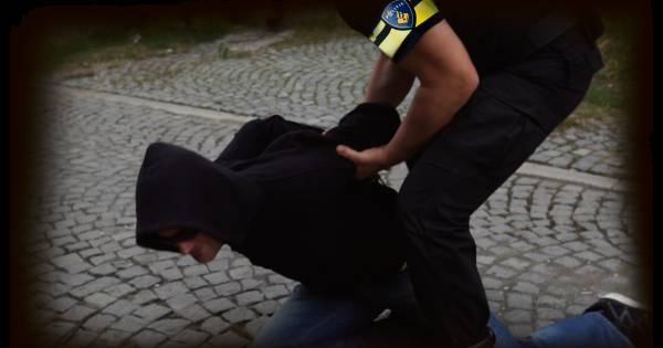 Overvallers woning Ammerzoden sloegen eerder toe in Nijmegen - BD.nl
