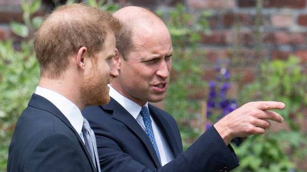 Harry & William: What Went Wrong?