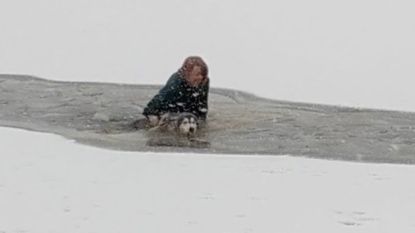 Vrouw redt hond uit ijskoud water nadat die door het ijs zakt