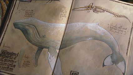 1. De Walvis