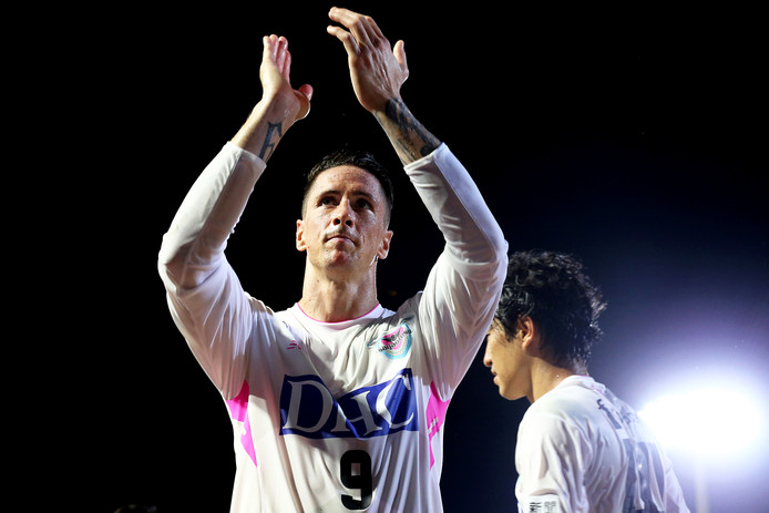 Fernando Torres bedankt de fans.
