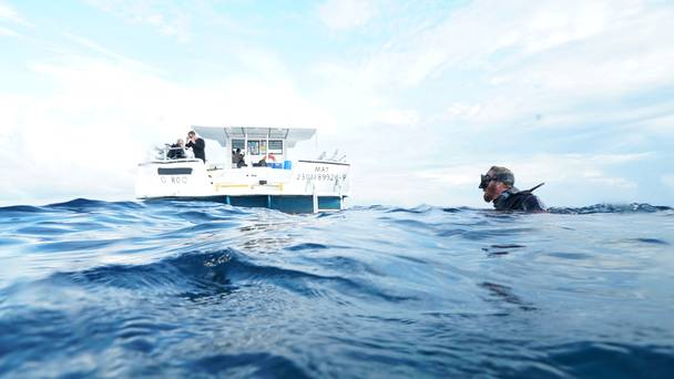 Cooper's Treasure: The Hunt For A Secret Fortune