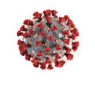 Wat het coronavirus zo moeilijk uit te roeien maakt: dit weten we over de ziekte uit Wuhan