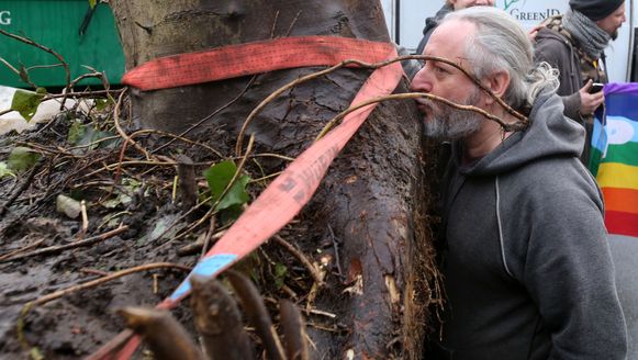 Alain De Coussemaeker bij een verhuis van enkele bomen in februari 2015.