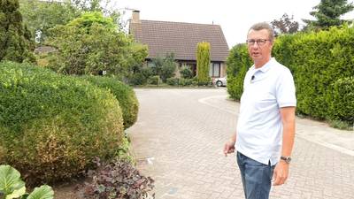 Buxusmot laat spoor van vernietiging na