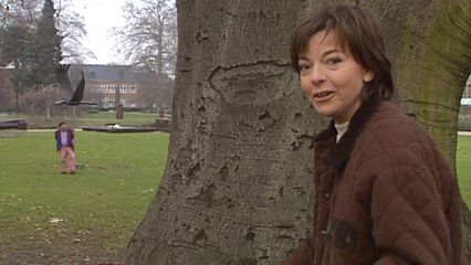 Aflevering 6