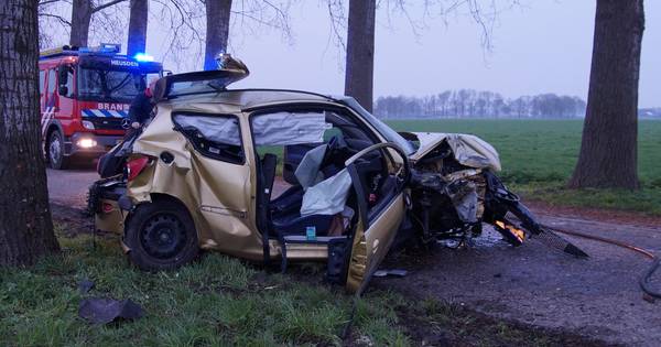 Auto knalt tegen boom in Herpt, inzittenden ongedeerd