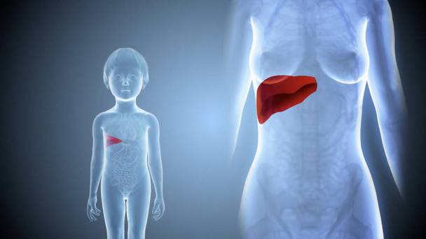 MatiÃ¨re Grise - Express (Boucle de nuit)