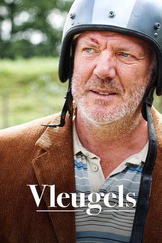Vleugels