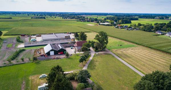 Boer Collendoorn draait nieuwe schuur bij voor zekere toekomst - De Stentor