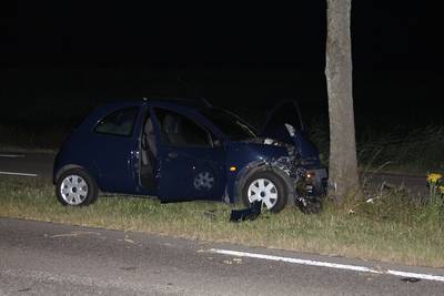 Man (70) uit Tiel overleden bij frontale botsing tegen boom in Rumpt