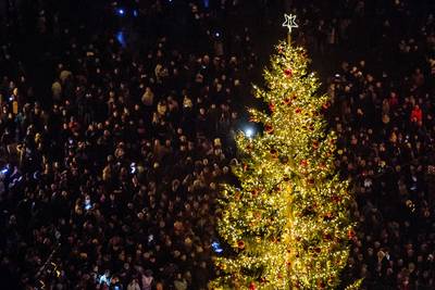Kerstboomdief toont berouw en biedt excuses aan bij eigenaar