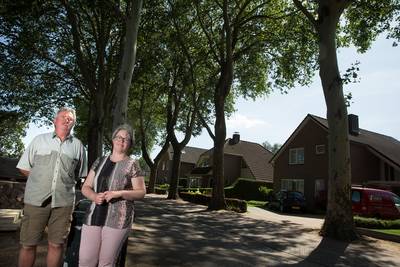 Strijd om de boom in Beek leidt tot tweespalt in de buurt