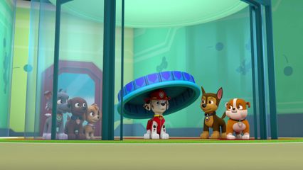 15. Pups Koelen Af & Pups redden Boer Alex